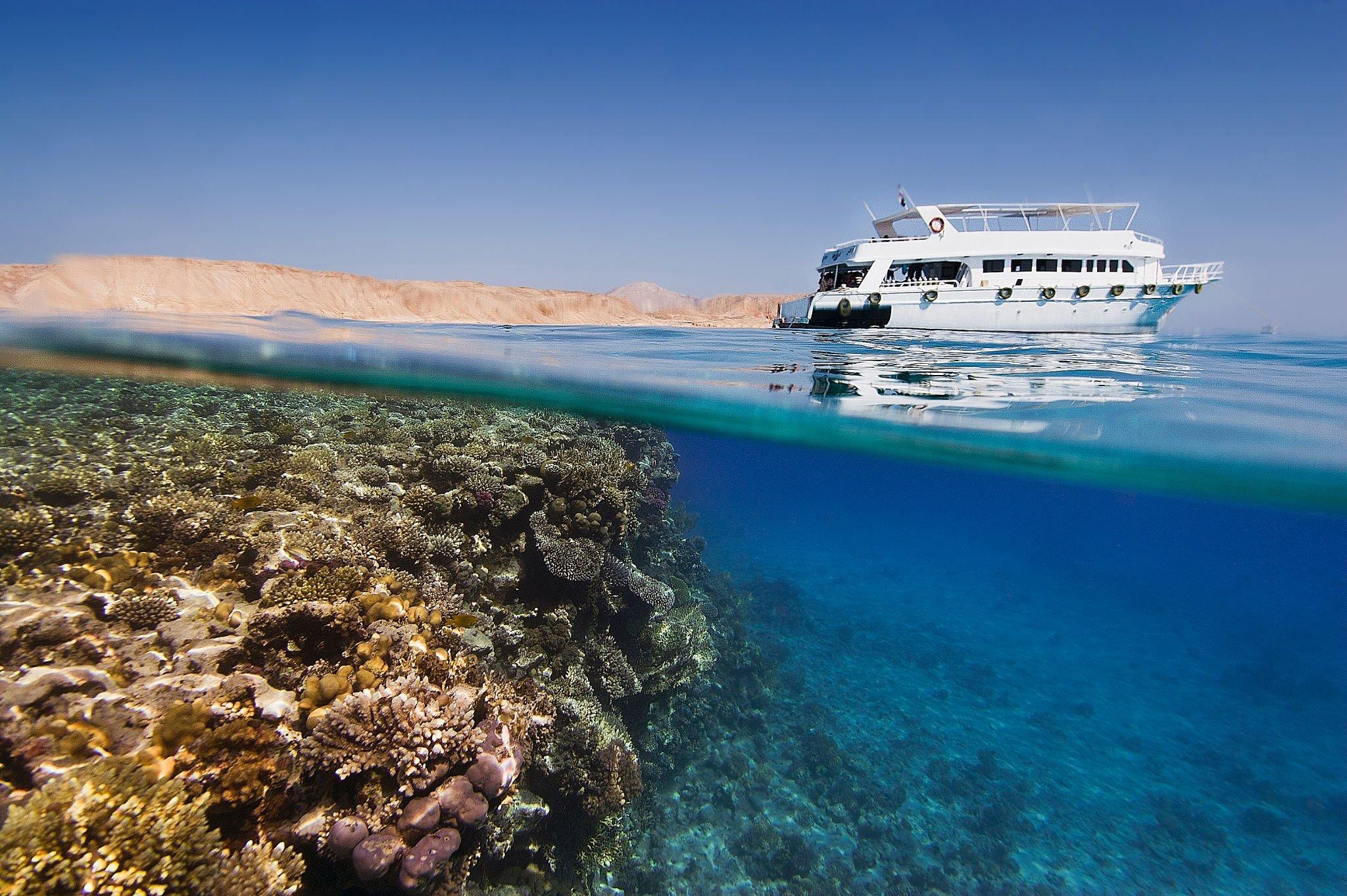 Top 8 Unmissable Things to Do in Sharm El Sheikh